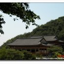 예봉산도깨비박물관 네이버블로그
