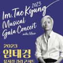 강화 뮤지컬 갈라 콘서트 티스토리