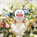하이 마이 데이 대관 후기(튼튼이의 첫돌을 축하하는 가족끼리 소규모 돌잔치)