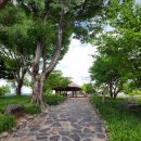 청풍문화재단지 주차장 앞 화장실 이미지