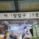 풍물거리 60번상가 옆 | 삼척 중앙시장 맛집 추천, 쏠비치 회포장으로 좋은 회맛집 바다회활어