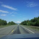 연어의추억 이미지