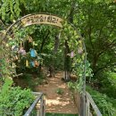 숲어린이집 이미지