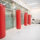 플렉스 복싱 이미지