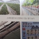 우하농장 이미지