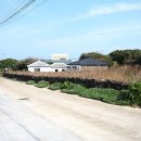 스테이 얼타 민박 이미지