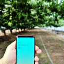 농업회사법인 가온(주) 이미지