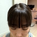 양운로 | 장산역 미용실 시에라헤어 영은실장님 앞머리 모류교정 후기/해운대 모류교정 미용실맛집