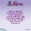 매일365