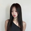 브이엘
