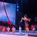 당진월드아트서커스 이미지