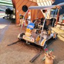 청도레일바이크 이미지