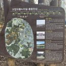 황룡산 둘레길 탄현공원 입구 | ⛰️ 황룡산 등산코스 | 탄현공원 출발, 길 헤맨 솔직 후기