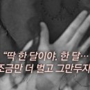 도산하양지 공중화장실 | 성매매와 원조교재: "성욕의 형태로 메타적 구속을 갈망한다는 것은"