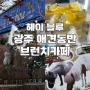 광주매월동 대형카페 헤이블루 애견동반 브런치카페