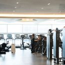 클로바피트니스 이미지