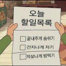 캄포하우스 | [제주] 서귀포 더시에나리조트 펜트하우스 수영장, 일캄포조식 후기