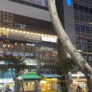 빽다방 양주고읍점 이미지