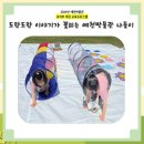 용문초병설유치원 이미지