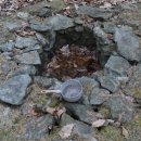 보만정지 이미지