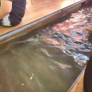 작은영토 별관 이미지