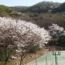 진성수학학원 - 강남구 삼성로71길 16 | 진성수학학원