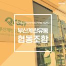 부산계란유통협동조합