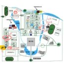 씨유 중문대림점 | 5월을 곁들인 6월 일상 끄적끄적