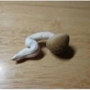 깎는여자 네이버블로그