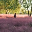 유심천호스텔 이미지