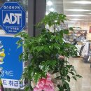 가산식물원 이미지