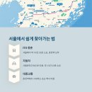 초원카페 | 춘천 해피초원목장과 감성 카페 투어 코스 추천