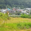 덕적면사무소 이미지