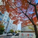 산호동445 이미지