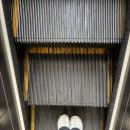 하타요가(야간) 이미지