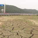 안성태양광발전소 이미지