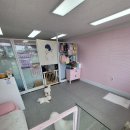 bbodog(뽀독) | 평택안중애견샵 디팡 셀프시공 및 사용후기