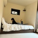 스테이 뒷빌레 | [제주] 함덕 숙소 "스테이뒷빌레" 숙박 후기