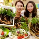 새싹마트 이미지