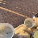 묘도1길 이미지