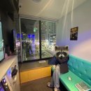 풍경노래연습장 이미지