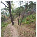 (주)부여집 이미지