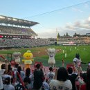 도그지음 | 2025 KBO ssg 랜더스필드 으쓱이존 1블럭 I열 통로석 좌석 시야 깜자 랜더스 데이