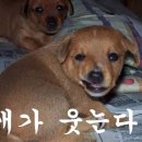 같이