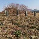 평화2태양광발전소 이미지