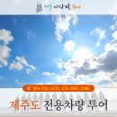 마당발 투어