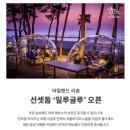 포포아일랜드 네이버블로그