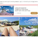 애드샷 | 네이버 애드포스트 첫 수익 후기, 방문자 수가 500명인데 수입이 0원인 이유