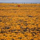 어울림목장 이미지