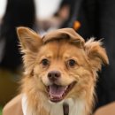 위드협동조합 이미지